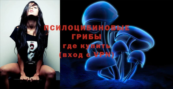 MESCALINE Коряжма