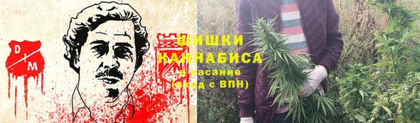 гидра Лабытнанги
