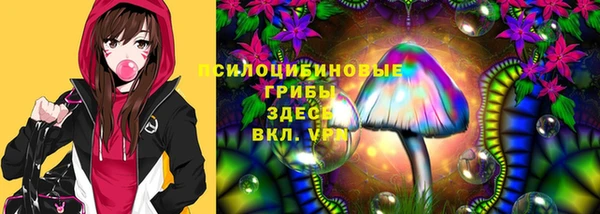 MESCALINE Коряжма