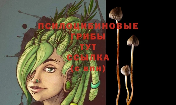 MESCALINE Коряжма